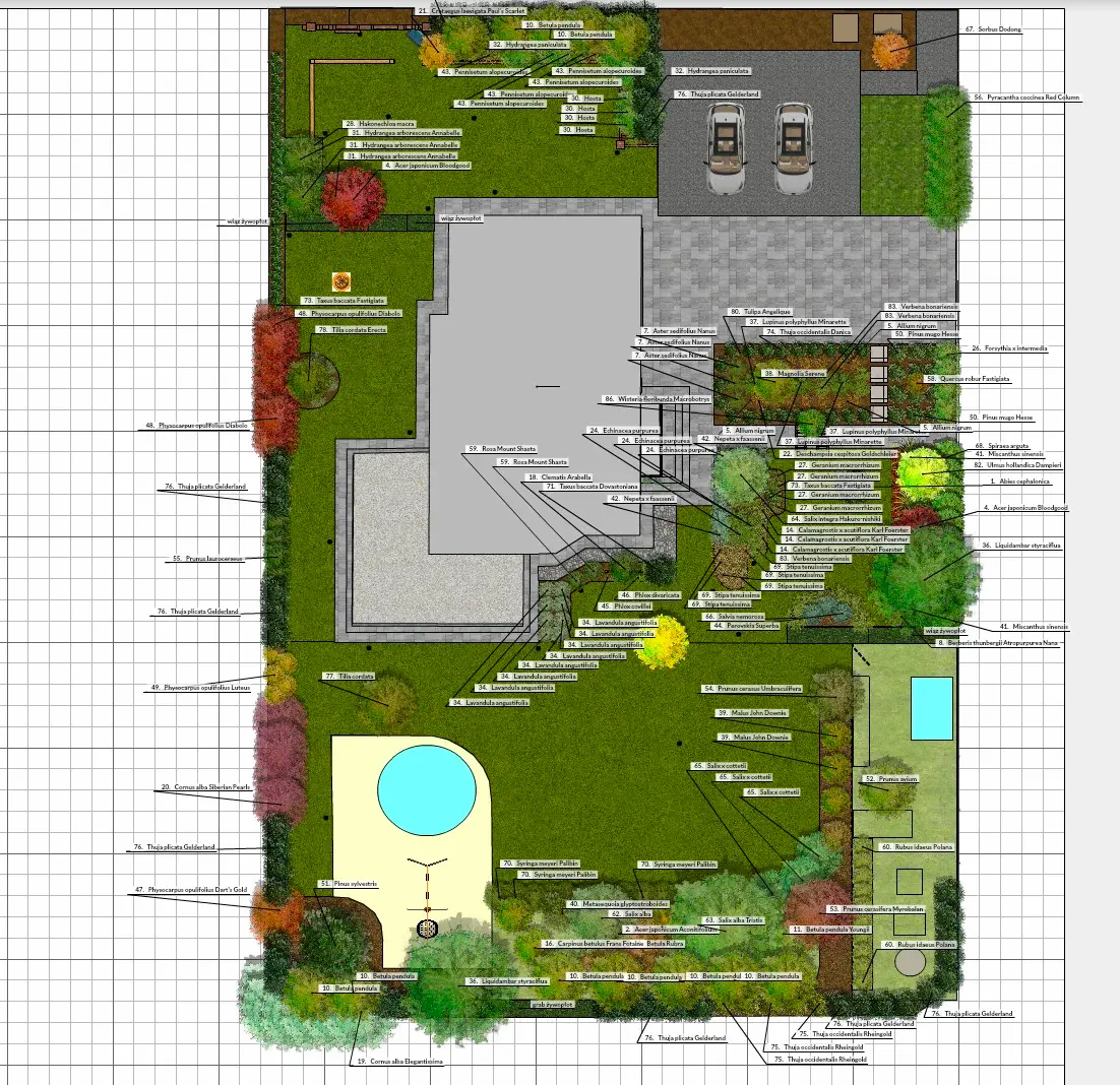Plan projektowy ogrodu z doborem roślin - widok z góry